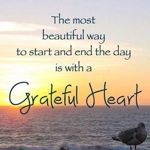 Meet your Posher, Sally a.